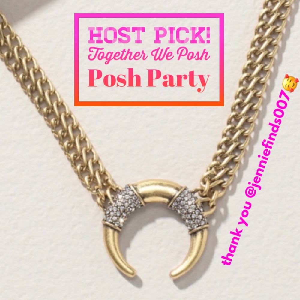 :: Stella & Dot | Double Take Silver + Gold + Pavé Horn Necklace